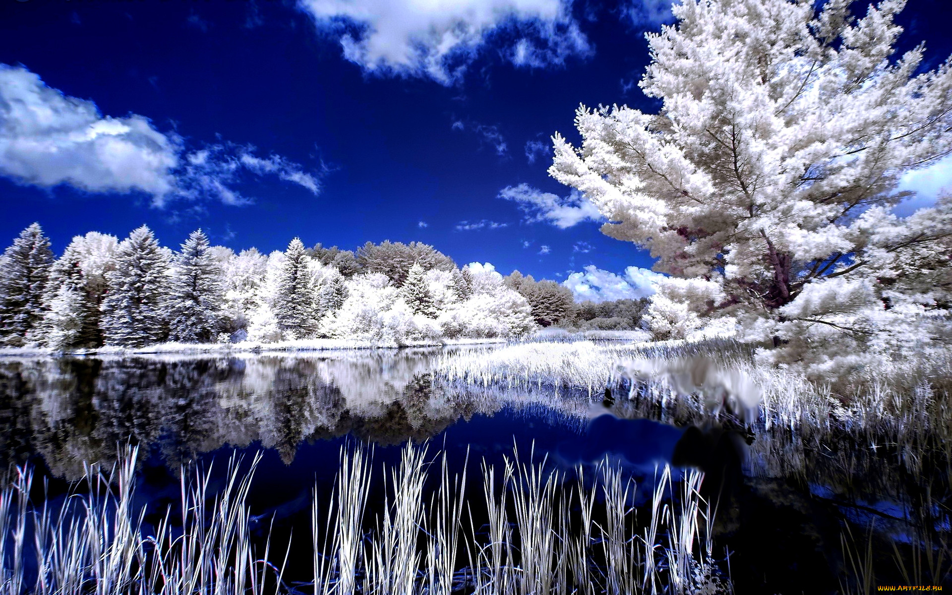 beautiful, lake, , , , , , 